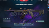 205 Level 99 skinli valorant Hesabı
