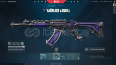 206 LEVEL PLAT GÖRMÜŞ MAİNLENEBİLECEK HESAP