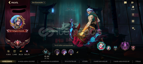 209 kostumlu mainlik hesap