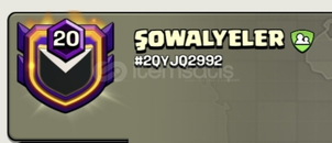 20LVL KLAN +15 BB HESAP BİR ARADA !