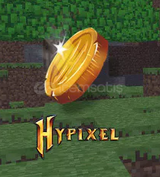 [20M] Hypixel Skyblock Coin