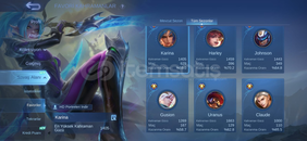 210 KOSTÜMLÜ SUİ MAİN MLBB HESABI