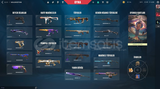 210 level plat elo 20 bin liralık skinli hesap