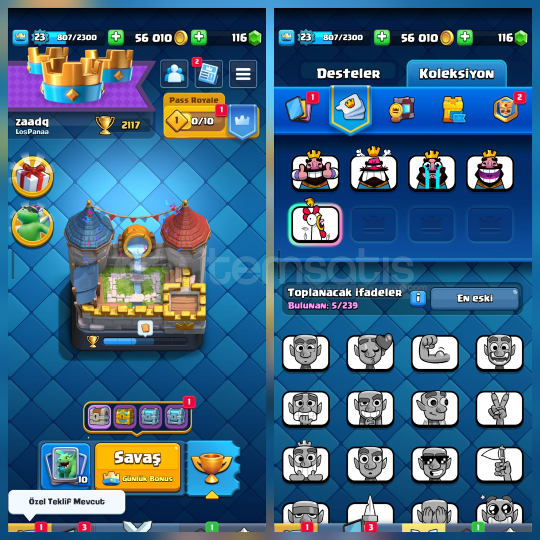 2117Kupa 52Kart 5İfade İsimHakkı 2117Kupa 52Kart 5İfade İsimHakkı