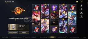 216 seviye dolu dolu hesap!!!!