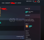 22 YILLIK STEAM HESABI 