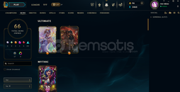 223 level 66 skin tr