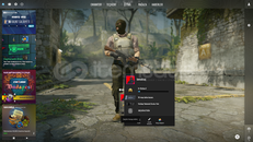 223 OYUN / 997 SAAT / PRİME / 10 LEVEL STEAM