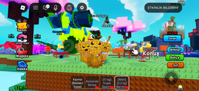 2.2kg gold berrını limited 2.2kg gold berrını limited