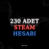 230 Adet Steam Hesabı