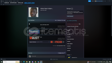 230 saatli 15 skinli temiz hesab