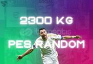 2300 KG PES Mail Değişen Random