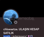 24 ay badgeli discord hesap uygun fiyat