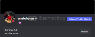 24 ay Buglu Discord Hesap