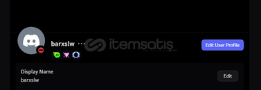 24 ay zümrüt ömürlük discord hesabı