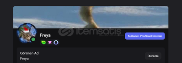 24 ay zümrüt discord hesabı