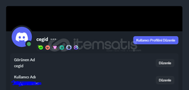 24 ay zümrüt ömürlük hesap