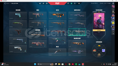 24 skinli valorant hesabı 