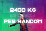 2400 KG PES Mail Değişen Random