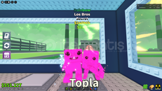 ⭐240M/s Rainbow Los Bros [En ucuzu]⭐