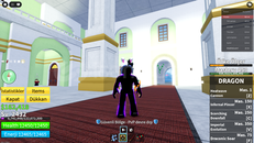 2432 LEVEL DRAGON MAİN HESAP 2432 LEVEL DRAGON MAİN HESAP