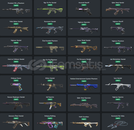 244 SKİN KOLEKSİYONLUK HESAP 