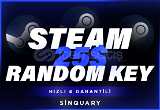 +25$ (750₺) Steam Oyun Key / Garantili