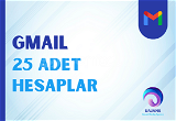 25 Adet Gmail Hesaplar