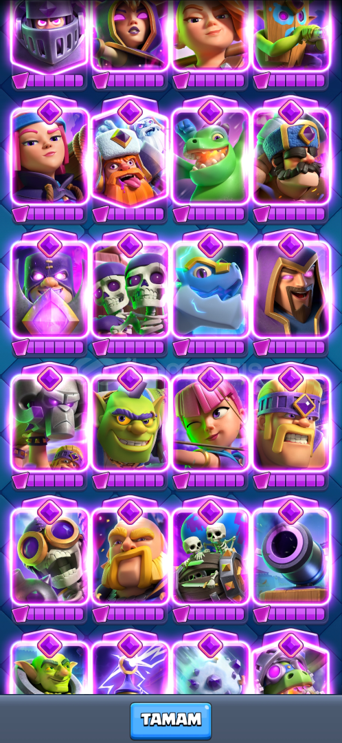 25 EVRİMLİ EFSANE HESAP 25 EVRİMLİ EFSANE HESAP