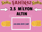 2.5 M ALTIN+ BONUS HIZLI TESLİMAT 