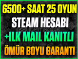 ⭐️25 OYUN❤️6500+ SAAT STEAM❤️+İLK MAİL