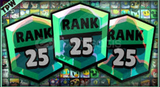 25 RANK BOOST