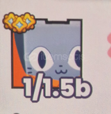 25 X Huge Prison cat pets go