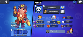 250+ kostümlü 40 full karakter ranked hesabı 