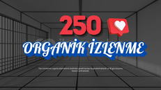 250 ORGANİK Youtube İzlenme(Türk İP)