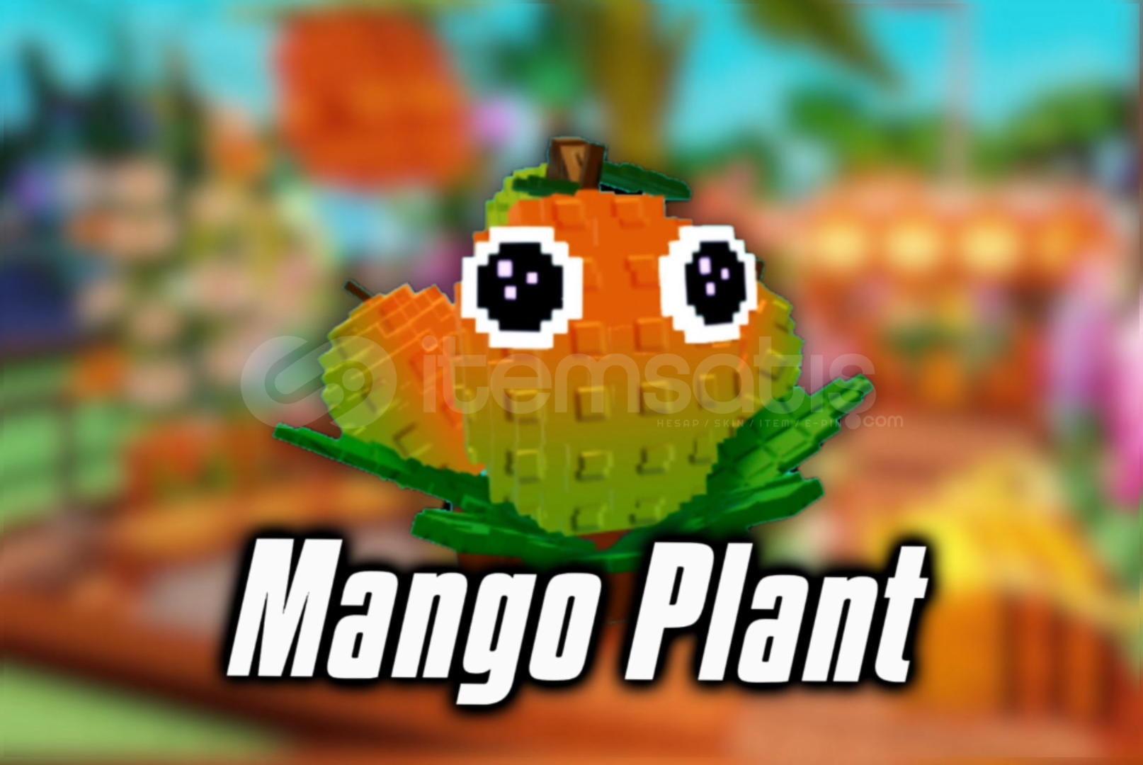 2x MANGO PLANT || Plant vs Brainrot 2x MANGO PLANT || Plant vs Brainrot
