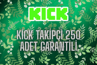 250 Takipçi - Garantili Artış 250 Takipçi - Garantili Artış