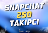 250 TAKİPÇİ SNAPCHAT GARANTİLİ