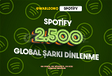 2.500 Global Spotify Dinlenme (Premium)