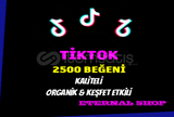 2500 Tiktok Gerçek Beğeni - KEŞFET ETKİLİ