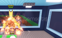 250M Dragon Canneloni (en ucuzu)