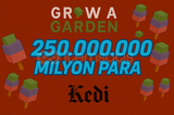 ⭐250M Para Hızlı Teslimat+Meyve 20M