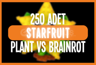 250x Starfruit | PLANT VS BRAINROT