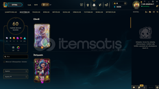 251 SEVİYE 60 KOSTÜM 152 ŞAMPİYON MAİL DEĞİŞEN