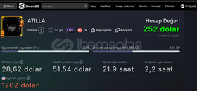 252$değerinde kişisel her şeyi değişen hesap 252$değerinde kişisel her şeyi değişen hesap
