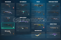 25bin vplik hesap 10.000tl