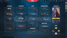 25K+ VP YÜKLENİLMİŞ HESAP!!