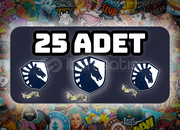 ✨ 25x ✨Çıkartma | Team Liquid | Paris 2023