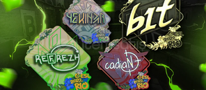 25x Random Oyuncu Stickerı