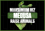 ⭐ 26 Hız Medusa | Raise Animals
